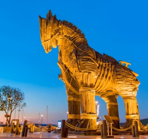 Untitled Collection #35975754