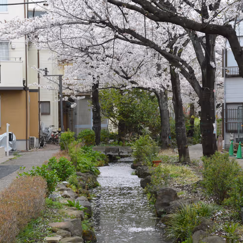 Japanese Cultural Landscape