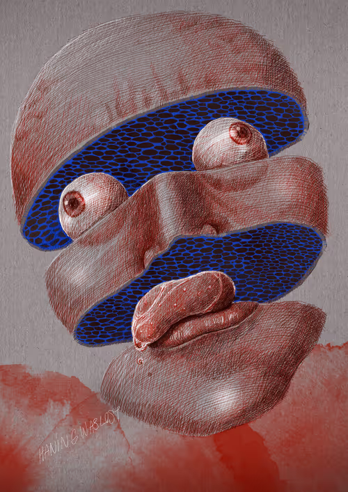 Item #27921743008571817687184646178926159877577224498393299984677393031748227432449 Media