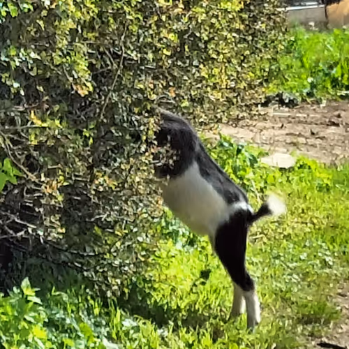 Untitled Collection #88544345