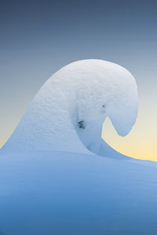 Item #39071023685345521589531013450918722216572370939070752972983331635529714237441 Media