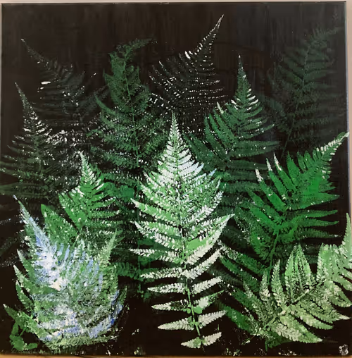 Item #106870078454534698311606461225664382982354268042883800261475775722197734129665 Media