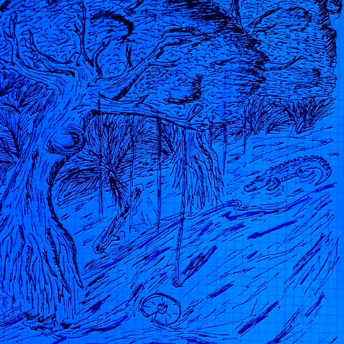 Untitled Collection 2349323627