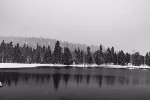 Item #4777953153526599569062198925190878774289520256553367647462911639000633573377 Media