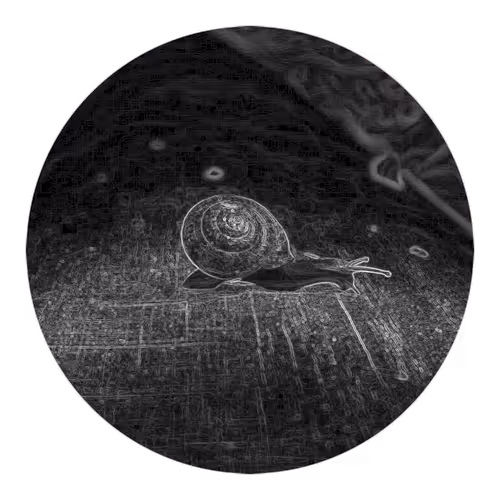 Item #73474911565276893363269127585336255498112534630235322163062143151318962798593 Media