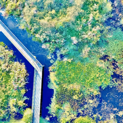 Drone Bridge 1/1