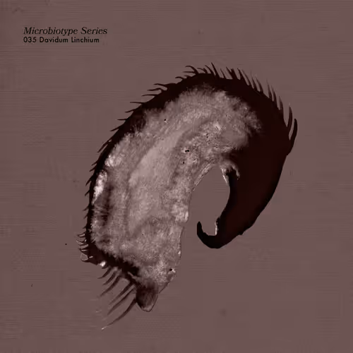 Item #20537471166803336483697920459392139182541277411208615206121837256989250420737 Media