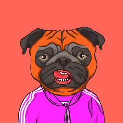 85536923797864075655485684241418953431230894352078393540716038967685866848257