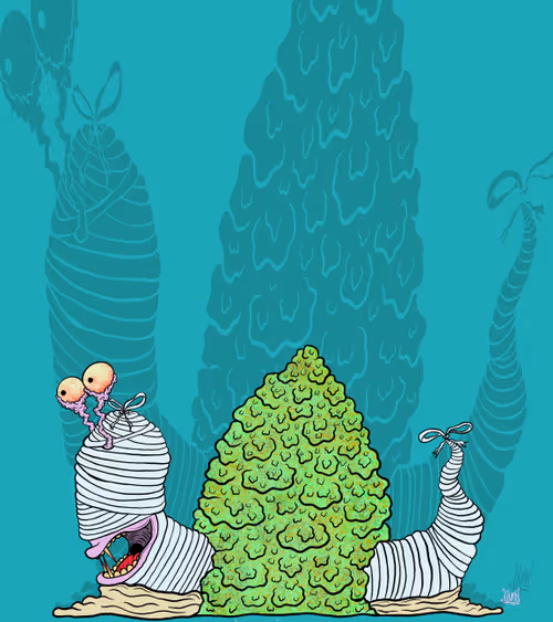 Item #48709560595739296782595910837660609397562067469616424855680270658439502364673 Media