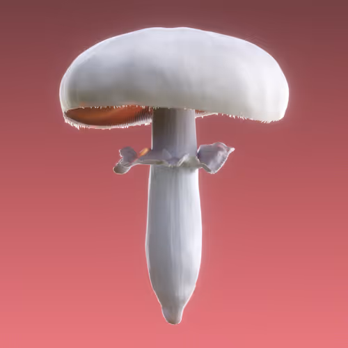 Item #95653877050150474555742155054455970472164202465768371638498213990977276739585 Media