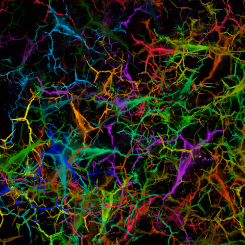 Item #50918555062582210159273167721725581522404743190091886750106034842111678873601 Media