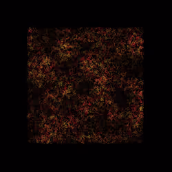 12032733712256437664215437925069129638151898554142308319368358767406054637569