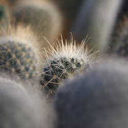 One of a kind