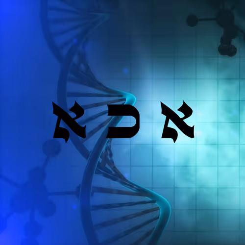 Item #60261209402415139582755570421670089329548312864668202741056927140088549212161 Media