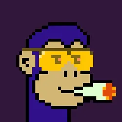 86597911018684220909976082157761491144516660396308703754075043699389624221697