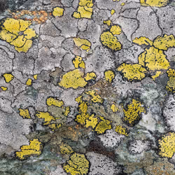 89716942802498903345130334803239853703441552995015827228005889618105054789633