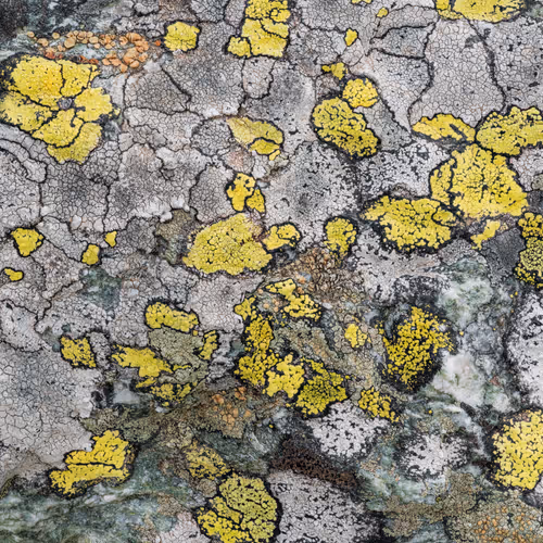 89716942802498903345130334803239853703441552995015827228005889618105054789633