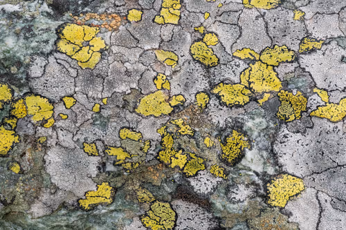 Item #89716942802498903345130334803239853703441552995015827228005889618105054789633 Media