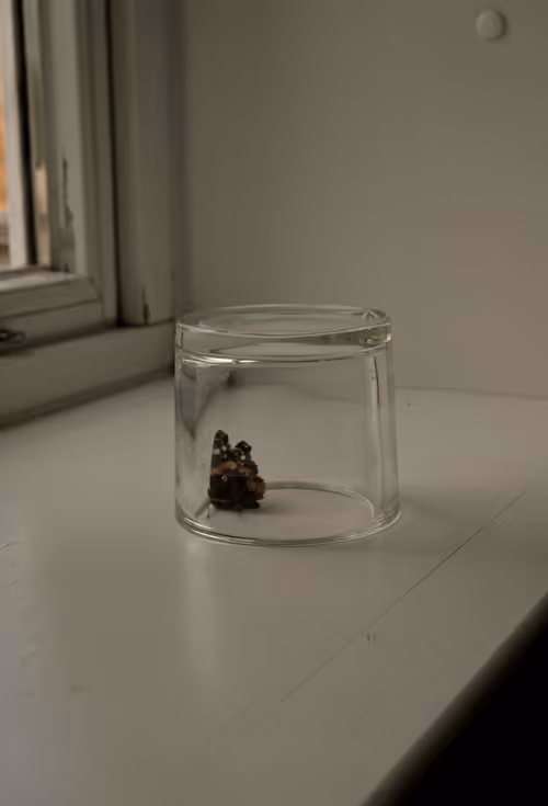 Item #60517015273015201167448896959818064210390269083404328919055338548064184958977 Media