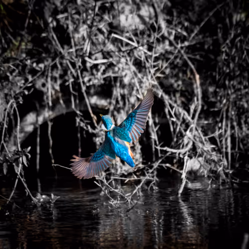 Item #15286439154353413258560728673590493507949724092509999987352070568206563016705 Media