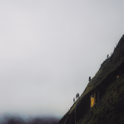 Fog Dream