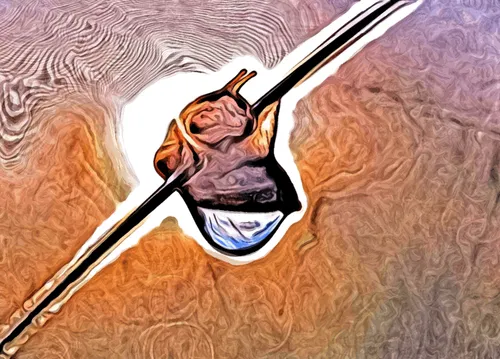 Item #84628850051465597210146000683389618639268532836801907227553242875498657218561 Media