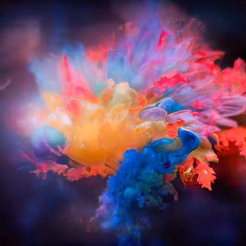 Explosion of Color #73