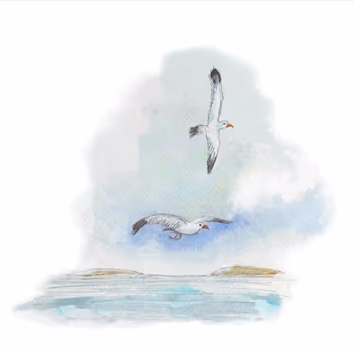 Item #17635803375648012338610213380030160191715370757553255260744606484376043126785 Media