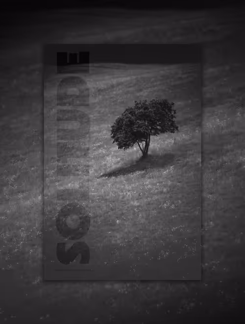 Item #46709965239587215851558087466762379659612403751449934923508460055018665410561 Media