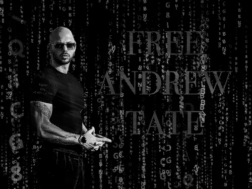 Item #48817016868112152716363427426781564827521607120618652118531562257626467139884 Media