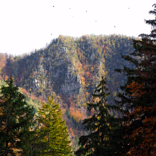 N Ature Ft By Frko