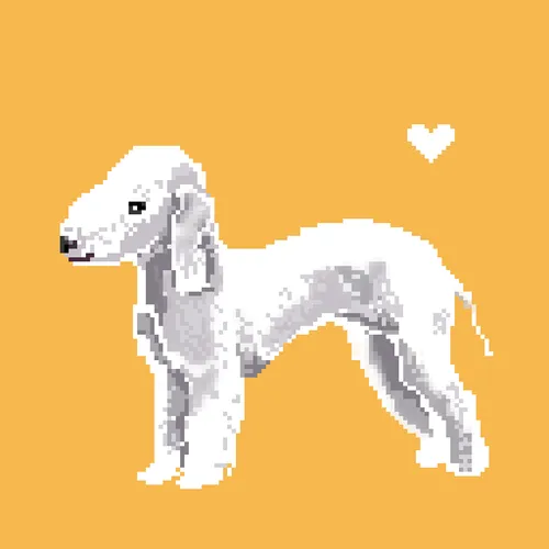 Item #13080766421190555612307919645379576803990371461875354718024555137618629623810 Media