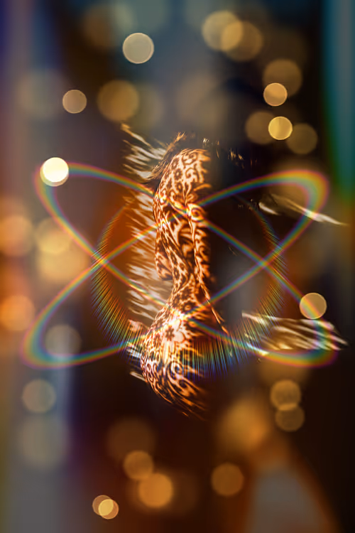 Item #40498021365110625873163859620955492987361950717153146364459205465036094963713 Media