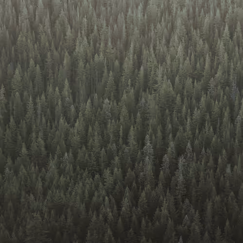 Chad Torkelsen - Green World Companion Collection