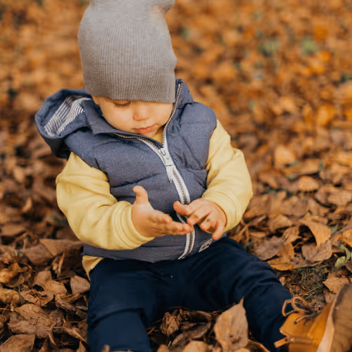 margomk42 Collection