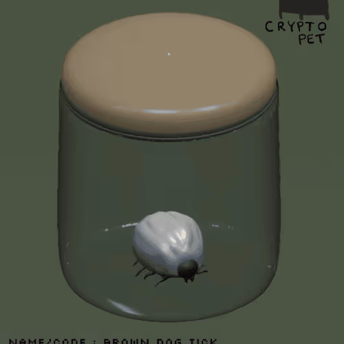 Cryptopoodle