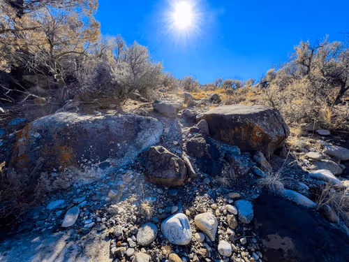 Item #69779279793312991240489662721218422936190169407892673104950858351464683667457 Media