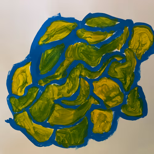 Hawaiian Turtle