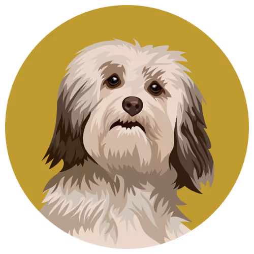 54766349128176429303044182404049584425310907481653304317570413806687518457857