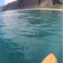 Surf