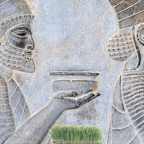 New Life In Persepolis