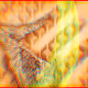 13372589504465625760859954275572932008543026692121204494650928039174929907713