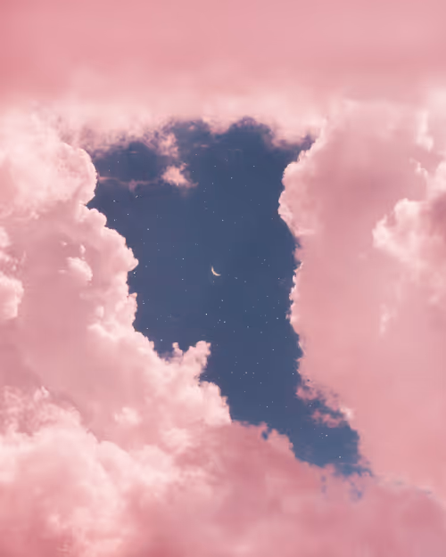 Item #9516099056367242152996622501750151802451978225621664057436231527022702100481 Media