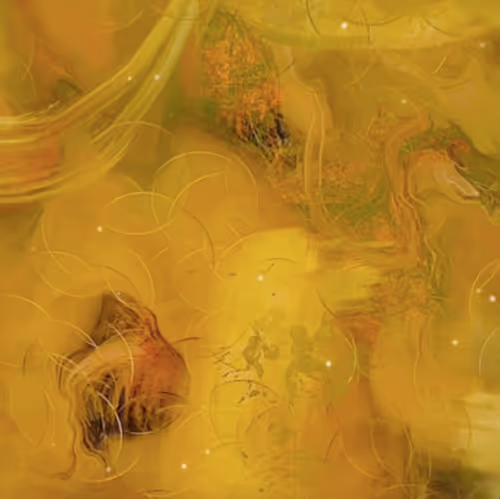 Item #112408499018954312791153057716900185294932476138078545210115626515375950135297 Media