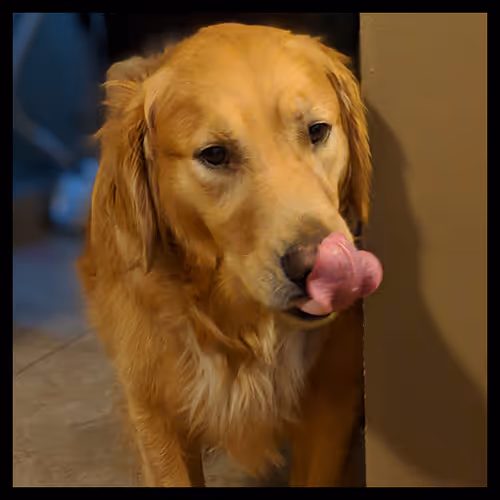 Item #106495276592435919470568425369488009874844936823784433162656833216047384363009 Media