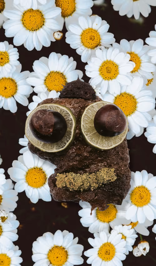 Item #100909502448086356706660368779487088653809768188601857193380375025356164300801 Media