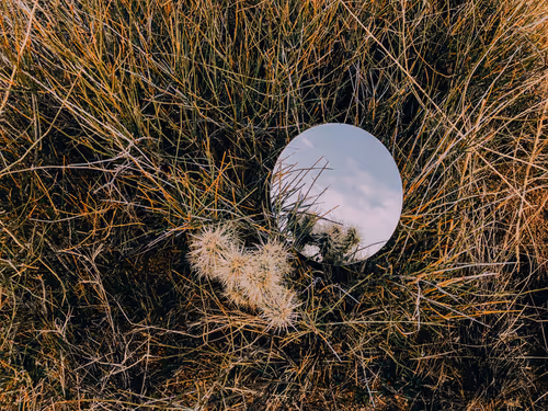 Item #57762364176817967113171601073029693715044262343455038936380107502548512931841 Media