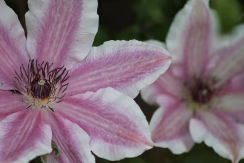 Item #51124555051901614330264480006545612592022390906904121289505624538219469078529 Media