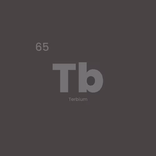 Item #12332245684065198764694527978536122317407596672492401615866658141834150150145 Media