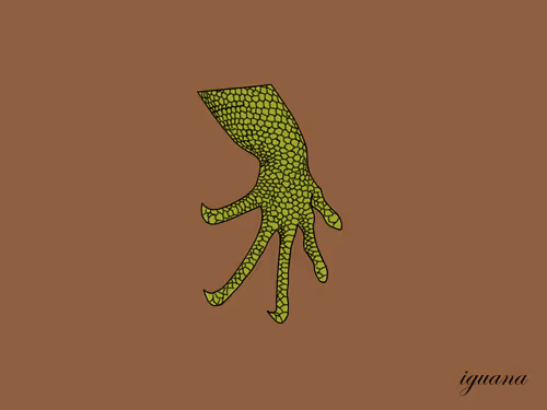 Item #24843950328459654647592333095373915695654115129450378637534313006831692152833 Media